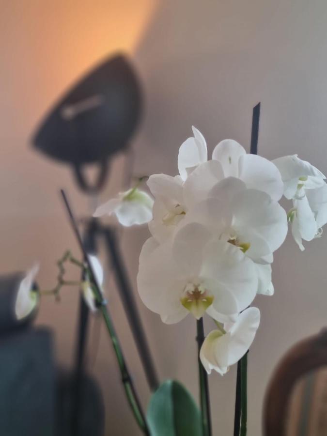 Wellness Ferienhaus Мехерних Экстерьер фото